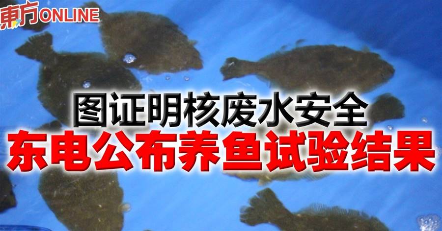 图证明核废水安全　东电公布养鱼试验结果