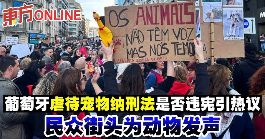 葡萄牙虐待宠物纳刑法是否违宪引热议　民众街头为动物发声